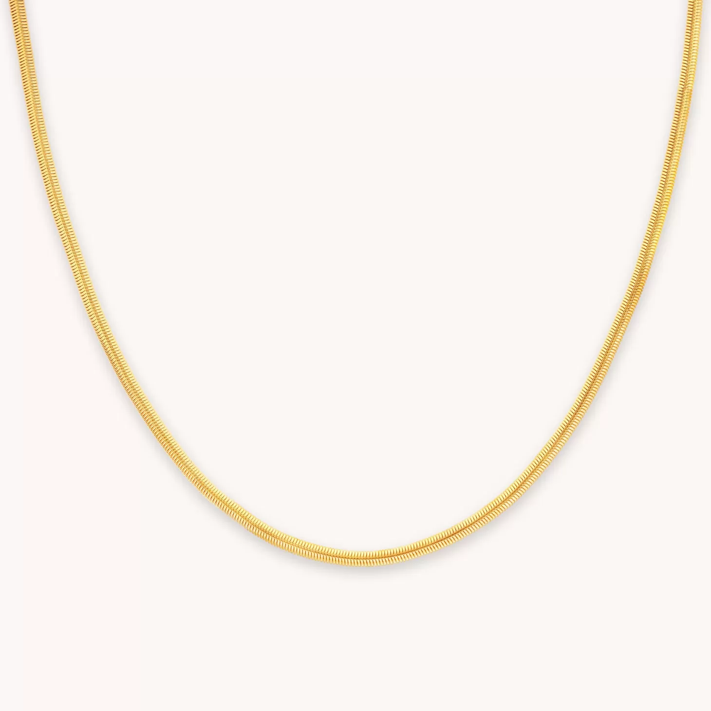 Astrid & Miyu Oval Snake Chain Necklace In Gold 18K Gold Plated Best