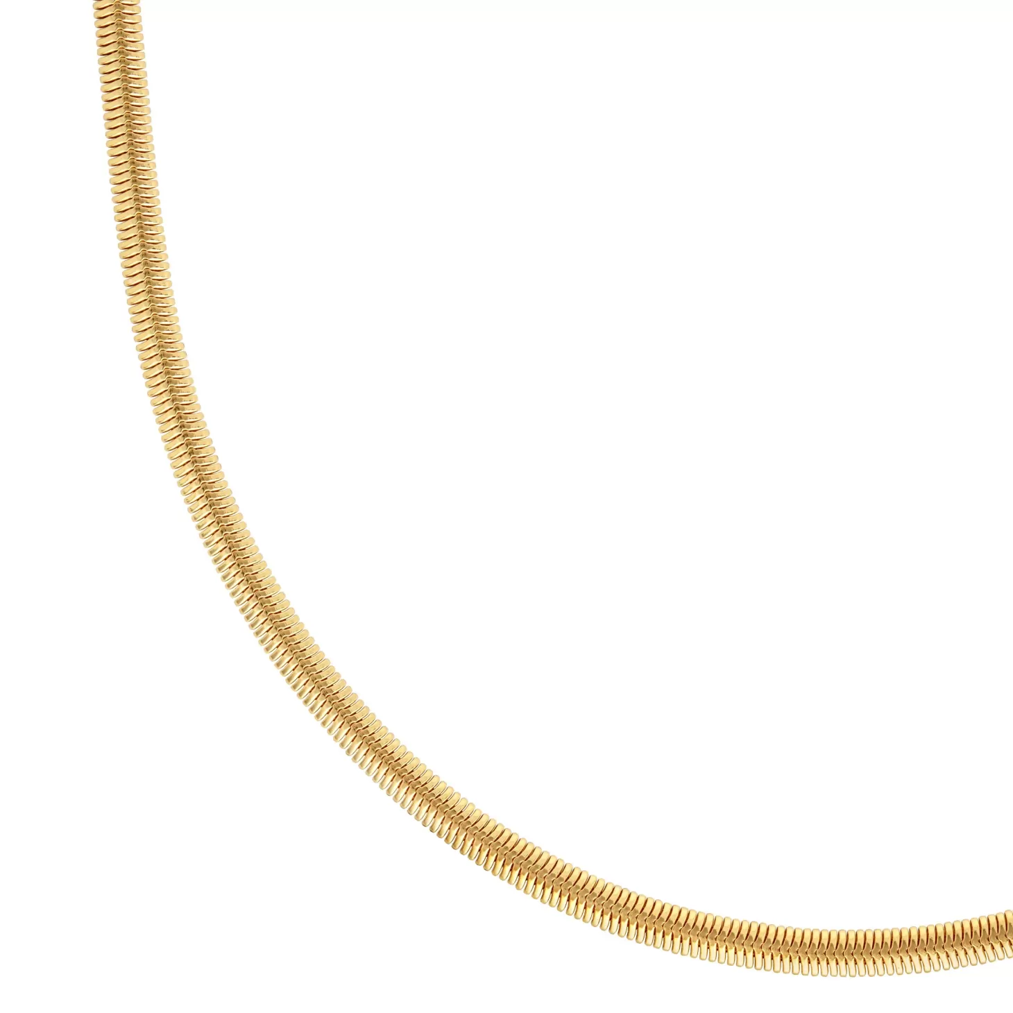 Astrid & Miyu Oval Snake Chain Necklace In Gold 18K Gold Plated Best
